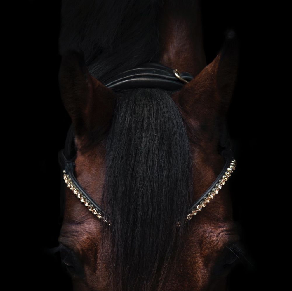 Utzon Elegant Browband Gold