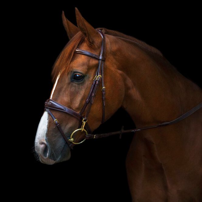 Hovedbilde Utzon Belmond Bridle Brown 