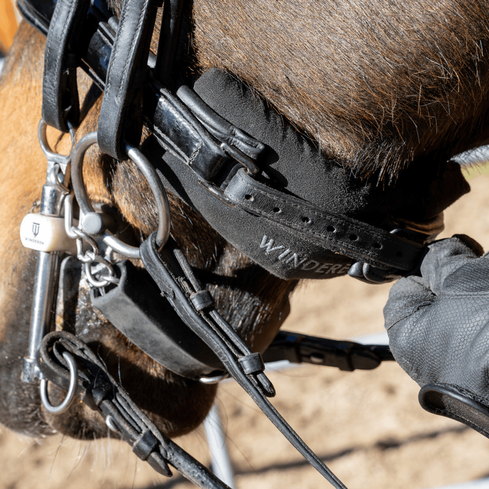 Winderen Chin Relief Noseband Pad - Flere Farger