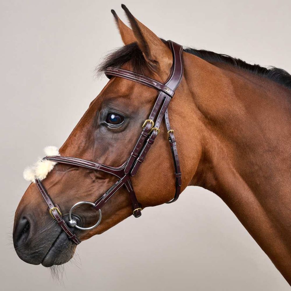 Dy’on  D Collection Fig 8 Noseband Bridle 
