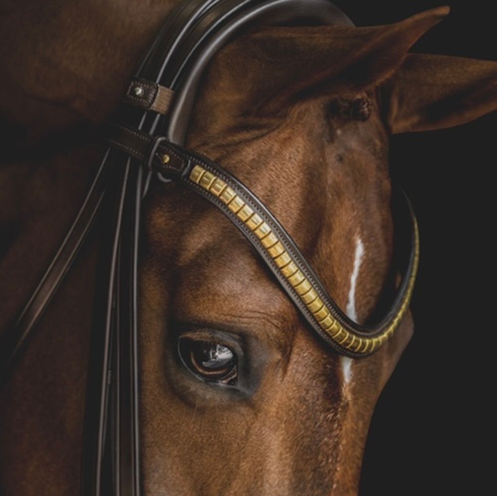 Utzon Browband Clinchers Brown/Gold