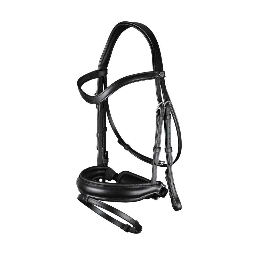 Dy'on Working Collection Matte Large Crank Noseband Bridle w/ Flash 