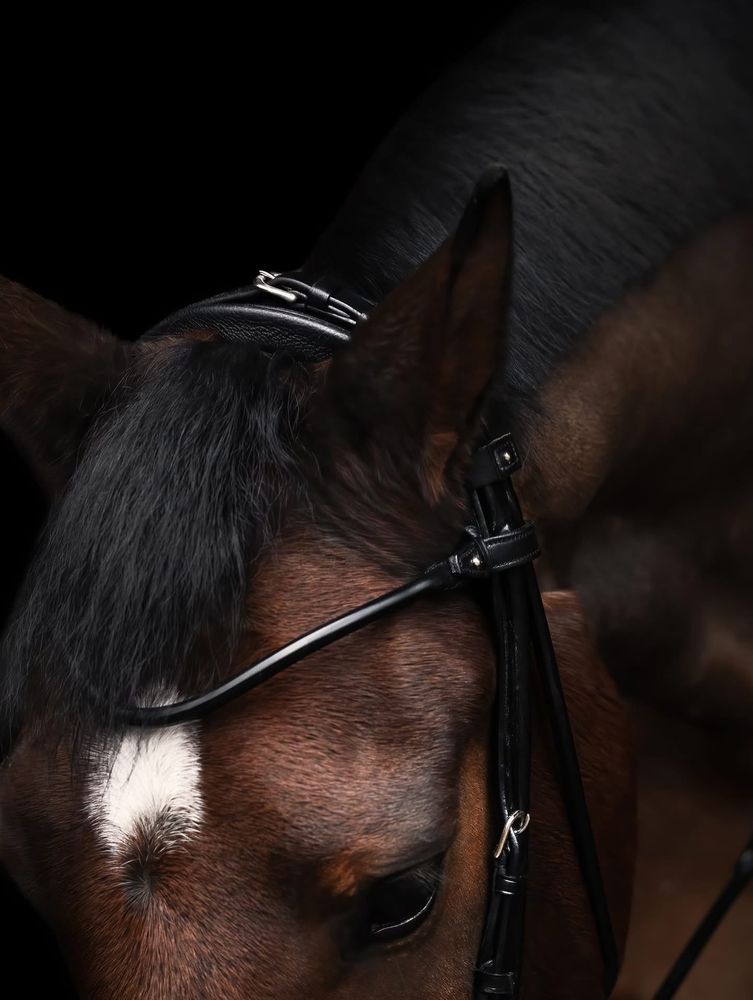 Utzon Edinburgh Hanoverian Bridle  