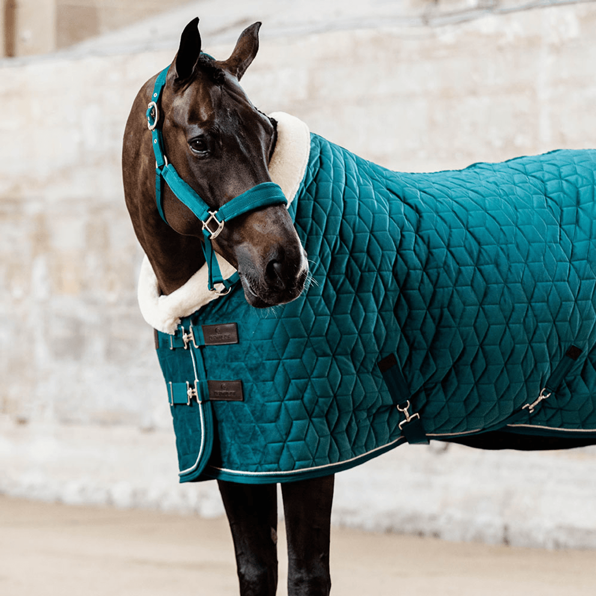 Kentucky Show Rug Velvet 160g Emerald